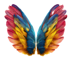 Vibrant feathered wings for creative design and artistic projects png