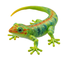 Vibrant lizard in nature displaying bright patterns png