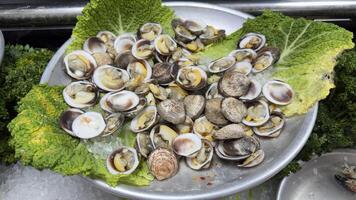 Open Clams on Ice with Lettuce and Parsley Display photo