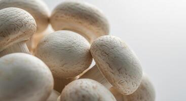 A cluster of fresh, white mushrooms ready to be enjoyed photo