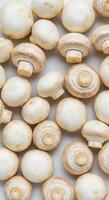Overhead view of fresh white button mushrooms photo