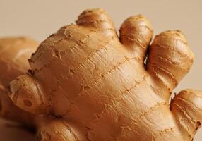 A close up view of a fresh ginger root photo