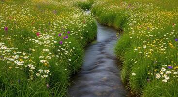 A winding stream flows through a field of wildflowers. photo