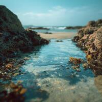 A Calm Tide Pool Found On A Peaceful Beach photo