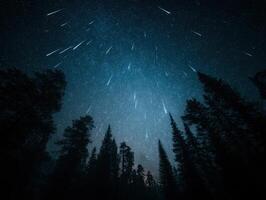 A Calm Forest During a Meteor Shower Event photo
