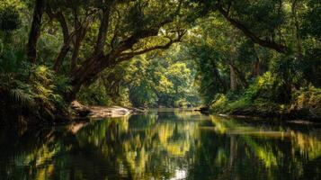 A Bend In A Tropical River Bathed In Sunlight photo
