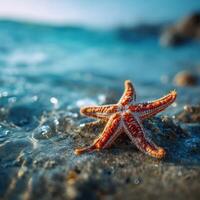 A Colorful Starfish Resting On The Sandy Ocean Floor photo