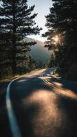 A Curving Road In The Mountains Surrounded By Pine Trees photo
