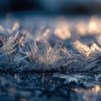 A Close Look At Ice Shapes On A Frozen Pond photo