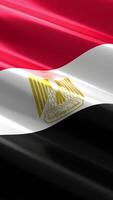 Egypt - waving vertical flag video