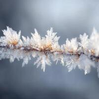 A Detailed And Artistic Look At Ice Crystals photo