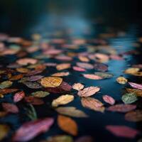 A Floating Tapestry Of Leaves On The Lakes Surface photo