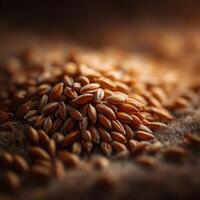 A Foundational Grain from Nature Whole Wheat photo
