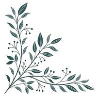 Elegant hand-drawn corner decorations made from intertwined leaves and herbs vector