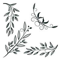 Minimalist Botanical Corners vector