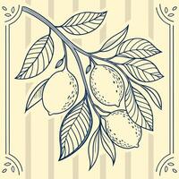 Loose cluster of lemons with leaves, drawn in thin ink lines and surrounded by delicate border elements vector