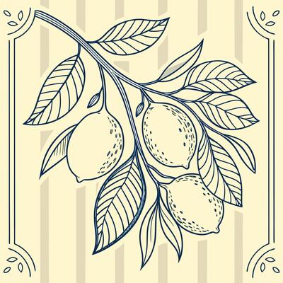 Loose cluster of lemons with leaves, drawn in thin ink lines and surrounded by delicate border elements