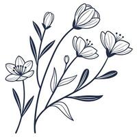 Whimsical Line Botanicals vector