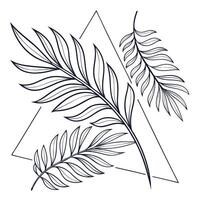 Modern Minimal Palms vector