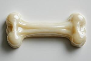 Dog Bone on Grey Background. photo