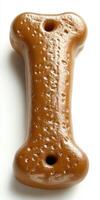 Bone-Shaped Dog Treat photo