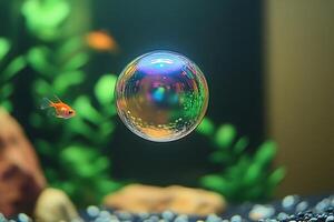 A bubble floating in an aquarium with a fish photo