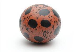 A large orange and black spotted egg with a white background photo