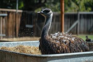 A bird in a metal container photo