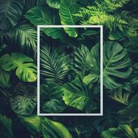 Tropical leaves and jungle background with square frame photo