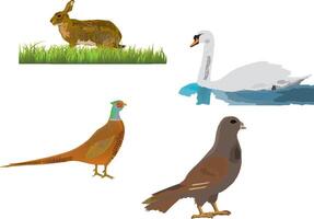 Four different types of birds and animals vector