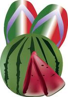 Watermelon and flip flops clip art vector
