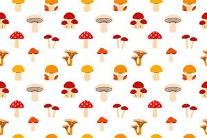 seamless pattern featuring a variety of wild forest mushrooms in different shapes and colors, ideal for kitchen and natural themes vector