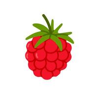 Illustration of a single red raspberry with leafy top. Great for organic food labels, berry product packaging, healthy eating graphics, and fruit-related designs vector