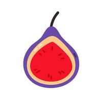 image of fig fruit, whole and sliced, with red flesh. Great for organic food branding, Mediterranean themes, and culinary content vector