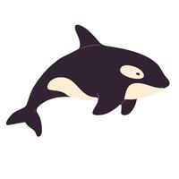 Whale isolated on white background, shown in side view, ideal for marine wildlife, ocean-themed designs, or educational materials vector