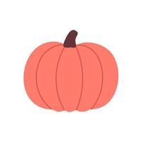 Rounded pumpkin in coral shade with dark stem, perfect for fall food designs and thanksgiving illustrations vector