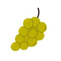 drawing of green grape bunch. Ideal for wine labels, food packaging, juice design, and healthy illustrations vector