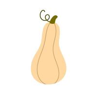 illustration of a light butternut squash with stem, perfect for autumn design, food decoration and seasonal harvest themes vector