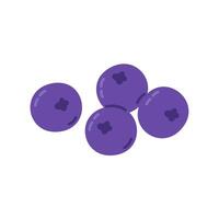 drawing of fresh ripe blueberries. Perfect for use in food packaging, juice labels, organic product design, or diet-related content vector