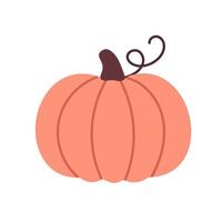 Soft pink pumpkin with rounded flattened shape and curly stem, great for thanksgiving or harvest compositions vector