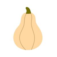 Light-colored squash with rounded body and short stem, ideal for harvest season design and food-themed illustrations vector