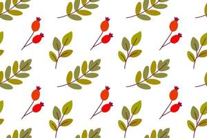 Seamless pattern with rosehip fruits and green foliage on white background for fall packaging, fabric and decor projects vector