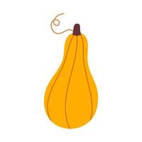 Bright yellow squash with long shape and stem, isolated for autumn-themed graphics and healthy food design vector