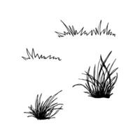A set of tufts of grass in different shapes and sizes. Black and white graphic illustration. Isolated on white. Natural elements perfect for landscape and nature themed designs. vector