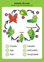 Understanding the Amazing Butterfly Life Cycle Journeyey vector