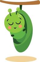 Little Larva Resting in Chrysalis vector