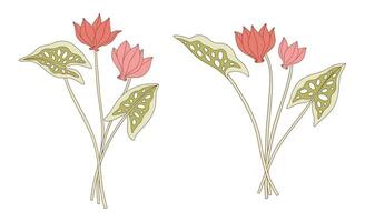 Set of bright cyclamen bouquets. Bunches of blooming wildflowers, perennial wild plants. Botanical hand drawn elements for illustration design projects vector
