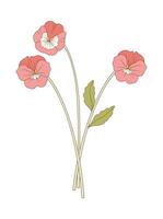 Bouquet of three pink pansy flowers with leaves. Bunch of blooming perennial wild plants. Botanical hand-drawn elements for design projects vector
