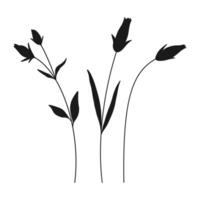 Set of silhouette wildflower buds in color black, white background. Hand drawn flowers and leaves. Wild plants for design projects, illustration vector