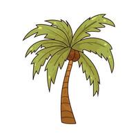 Illustration of a Palm tree vector